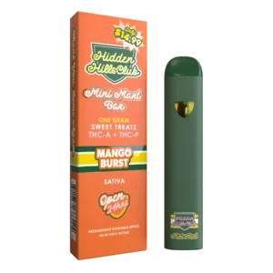 Mango Burst | Sweet Treatz Mini Mart