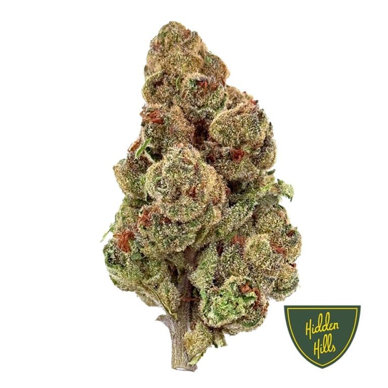 Sunset Sherbet THCA 33.99%