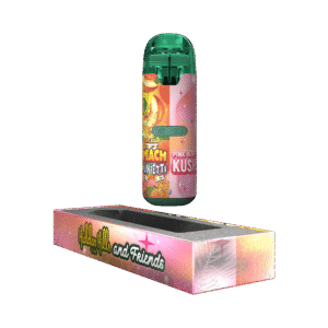 PLUGPLAY x HIDDEN HILLS