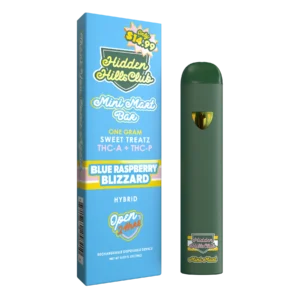 Blue Raspberry Blizzard| Sweet Treatz Mini Mart