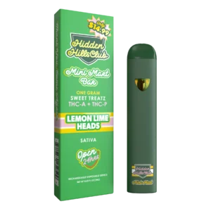 Lemon Lime Headz| Sweet Treatz Mini Mart